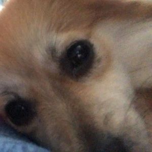 Meet your Posher, Alberto